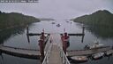 ./images/calvert/dock/20250626/dock20250626_121010M.jpg