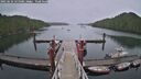 ./images/calvert/dock/20250626/dock20250626_125508M.jpg