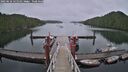 ./images/calvert/dock/20250626/dock20250626_131510M.jpg