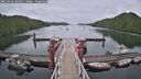 ./images/calvert/dock/20250626/dock20250626_145011M.jpg
