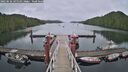 ./images/calvert/dock/20250626/dock20250626_145510M.jpg