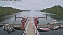./images/calvert/dock/20250626/dock20250626_150011M.jpg