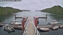 ./images/calvert/dock/20250626/dock20250626_154011M.jpg