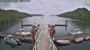 ./images/calvert/dock/20250626/dock20250626_155009M.jpg