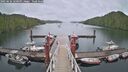 ./images/calvert/dock/20250626/dock20250626_160510M.jpg