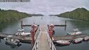 ./images/calvert/dock/20250626/dock20250626_161510M.jpg