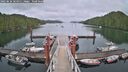 ./images/calvert/dock/20250626/dock20250626_164011M.jpg