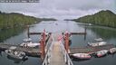 ./images/calvert/dock/20250626/dock20250626_164510M.jpg
