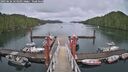 ./images/calvert/dock/20250626/dock20250626_165010M.jpg