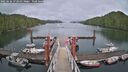 ./images/calvert/dock/20250626/dock20250626_172010M.jpg
