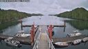 ./images/calvert/dock/20250626/dock20250626_175510M.jpg