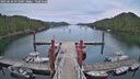 ./images/calvert/dock/20250626/dock20250626_211009M.jpg