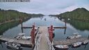 ./images/calvert/dock/20250626/dock20250626_211508M.jpg