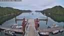 ./images/calvert/dock/20250626/dock20250626_212008M.jpg