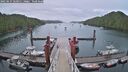 ./images/calvert/dock/20250627/dock20250627_060011M.jpg
