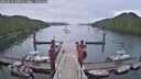 ./images/calvert/dock/20250627/dock20250627_060511M.jpg