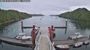 ./images/calvert/dock/20250627/dock20250627_062013M.jpg