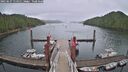 ./images/calvert/dock/20250627/dock20250627_114511M.jpg