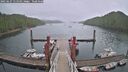 ./images/calvert/dock/20250627/dock20250627_115011M.jpg