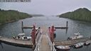 ./images/calvert/dock/20250627/dock20250627_123510M.jpg