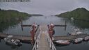 ./images/calvert/dock/20250627/dock20250627_142510M.jpg