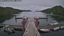 ./images/calvert/dock/20250627/dock20250627_144510M.jpg