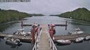 ./images/calvert/dock/20250627/dock20250627_150012M.jpg