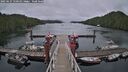 ./images/calvert/dock/20250627/dock20250627_150510M.jpg
