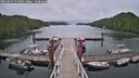 ./images/calvert/dock/20250627/dock20250627_151010M.jpg