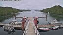 ./images/calvert/dock/20250627/dock20250627_152011M.jpg