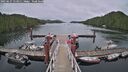 ./images/calvert/dock/20250627/dock20250627_153012M.jpg
