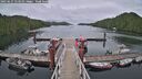 ./images/calvert/dock/20250627/dock20250627_153510M.jpg