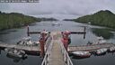 ./images/calvert/dock/20250627/dock20250627_161510M.jpg