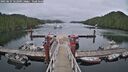 ./images/calvert/dock/20250627/dock20250627_162010M.jpg