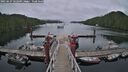 ./images/calvert/dock/20250627/dock20250627_162509M.jpg