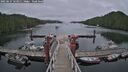 ./images/calvert/dock/20250627/dock20250627_163011M.jpg