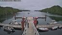 ./images/calvert/dock/20250627/dock20250627_164011M.jpg