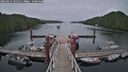 ./images/calvert/dock/20250627/dock20250627_165011M.jpg