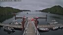 ./images/calvert/dock/20250627/dock20250627_165510M.jpg