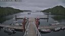 ./images/calvert/dock/20250627/dock20250627_171510M.jpg
