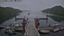 ./images/calvert/dock/20250627/dock20250627_180509M.jpg
