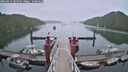 ./images/calvert/dock/20250627/dock20250627_183511M.jpg
