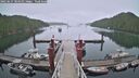 ./images/calvert/dock/20250627/dock20250627_184011M.jpg