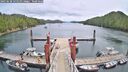 ./images/calvert/dock/20250628/dock20250628_125510M.jpg