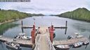 ./images/calvert/dock/20250628/dock20250628_130011M.jpg
