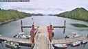 ./images/calvert/dock/20250628/dock20250628_130510M.jpg