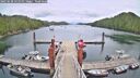 ./images/calvert/dock/20250628/dock20250628_131010M.jpg