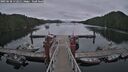 ./images/calvert/dock/20250628/dock20250628_172511M.jpg