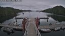 ./images/calvert/dock/20250628/dock20250628_173011M.jpg