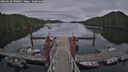 ./images/calvert/dock/20250628/dock20250628_190508M.jpg